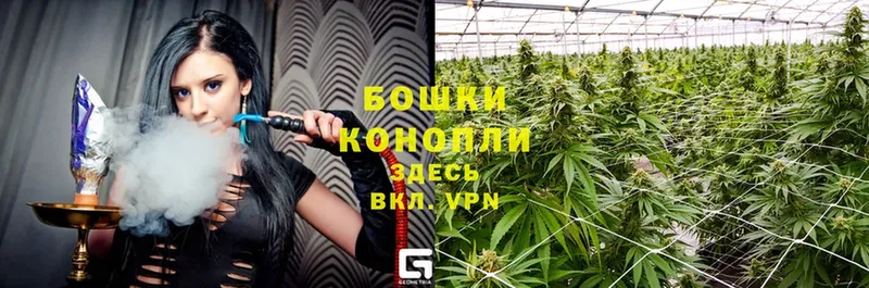 MEGA tor  где можно купить   Белоярский  Шишки марихуана Ganja 